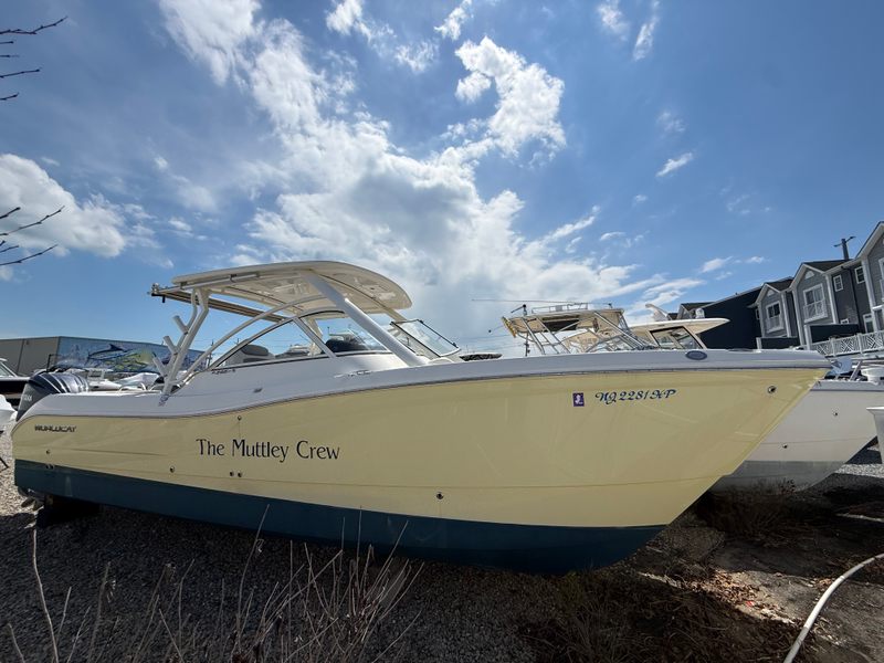 2021 World Cat 296 DC